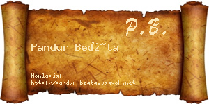 Pandur Beáta névjegykártya
