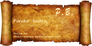 Pandur Beáta névjegykártya