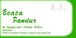 beata pandur business card
